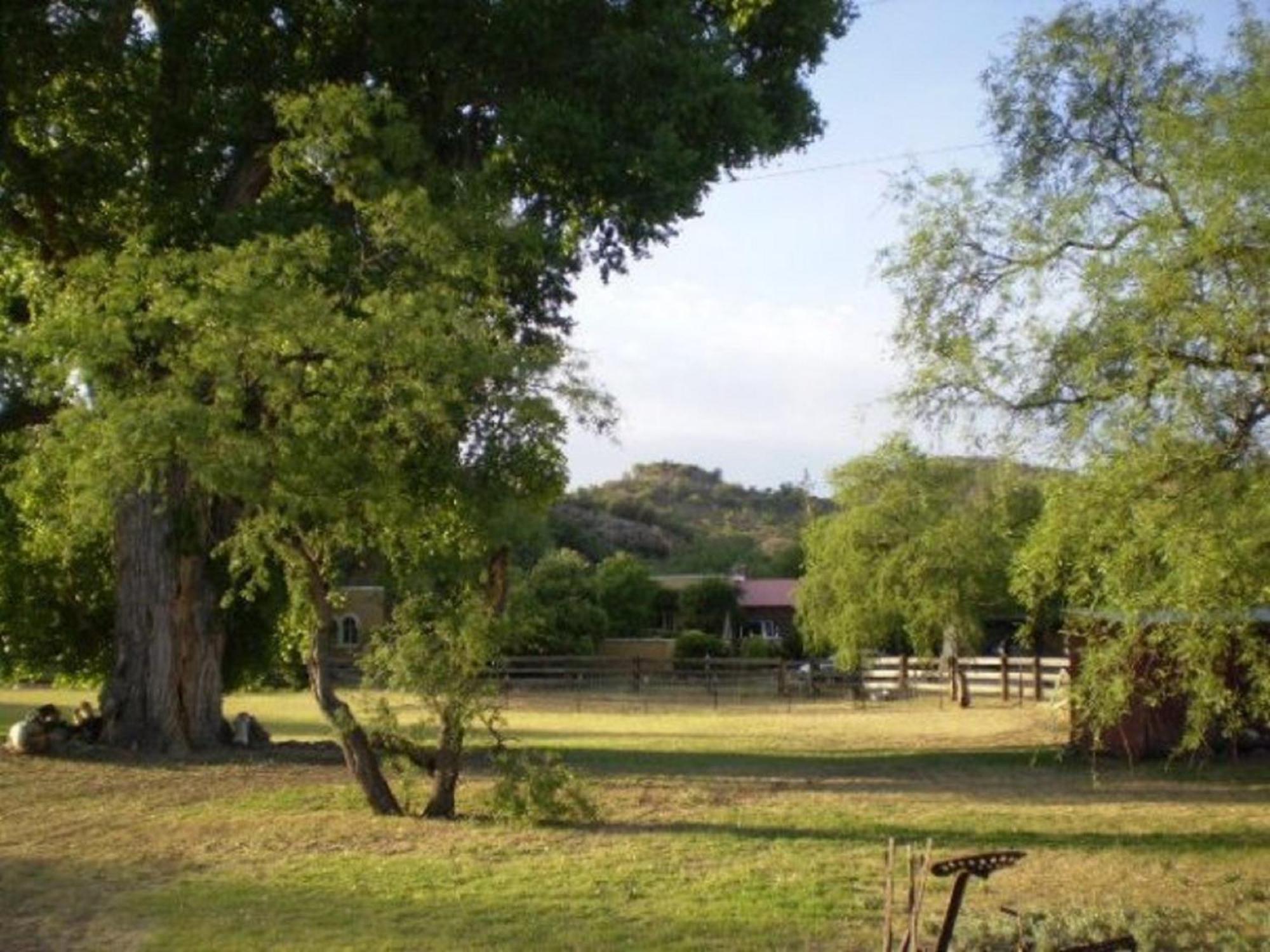 Spirit Tree Inn B&B Patagonia Ngoại thất bức ảnh