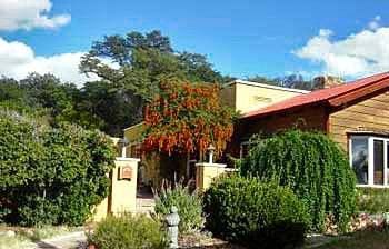 Spirit Tree Inn B&B Patagonia Ngoại thất bức ảnh