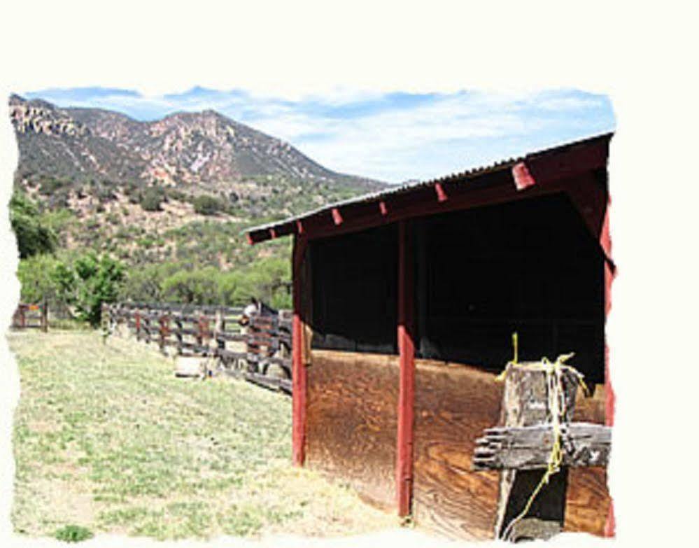 Spirit Tree Inn B&B Patagonia Ngoại thất bức ảnh